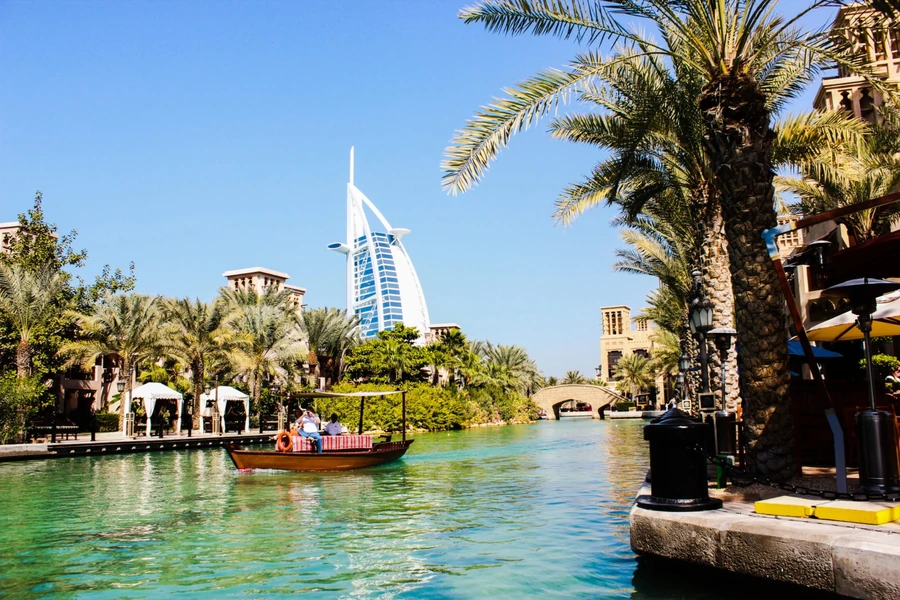 Dubai skyline, upcoming Neorgana clinic location